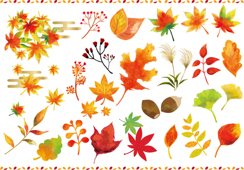 A collection of various autumn leaf icons A collection of various autumn leaf icons