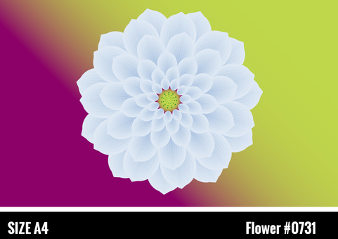 Japanese style Chinese style Flower for decoration (water lily lotus) Japanese style Chinese style Flower for decoration (water lily lotus)