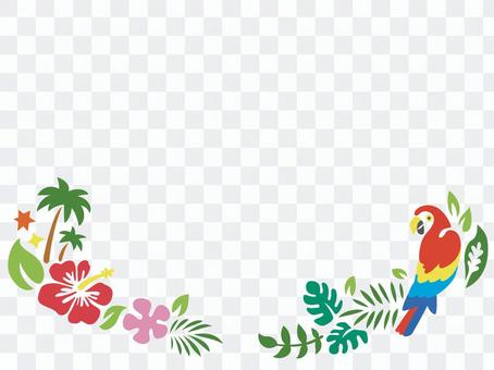 Tropical frame Tropical frame