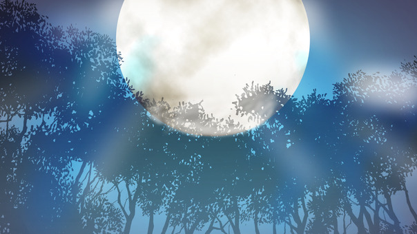 Moon forest background Moon forest background