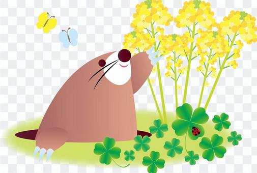 Spring Megura's illustration Spring Megura's illustration