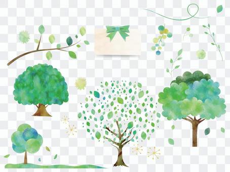 New green set ver 01 New green set ver 01