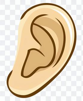 Body parts (ears) Body parts (ears)