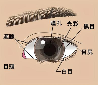 Pupil name Pupil name