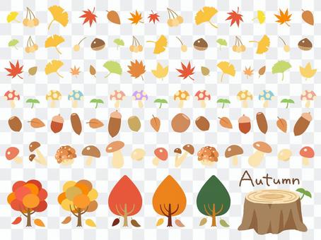 Autumn leaves _ nuts _ mushroom line Autumn leaves _ nuts _ mushroom line
