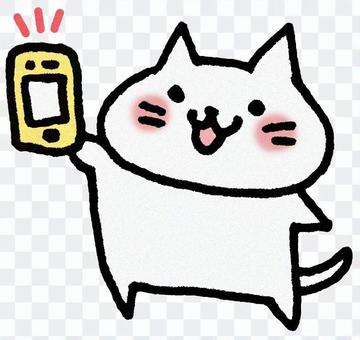 Sumaho cat Sumaho cat