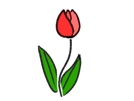 Cute tulips Cute tulips