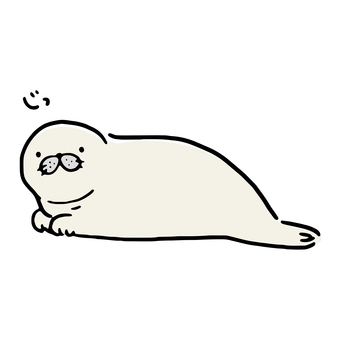 Spotted seal kid staring Spotted seal kid staring
