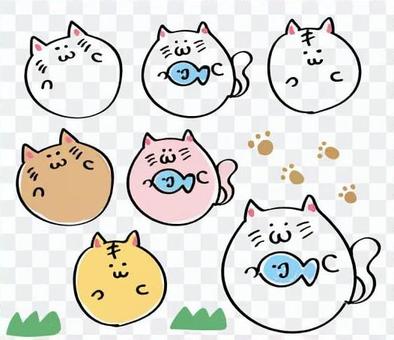 Round cat Round cat