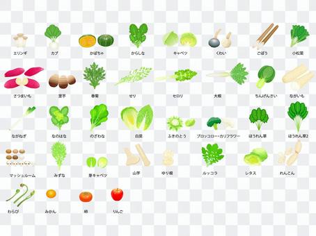 Winter vegetables / fruit icon set Winter vegetables / fruit icon set