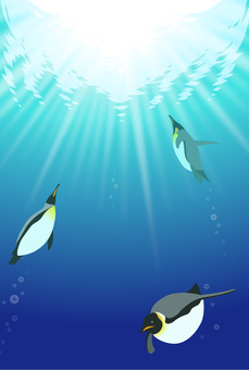 Penguin swimming in the sea Penguin swimming in the sea