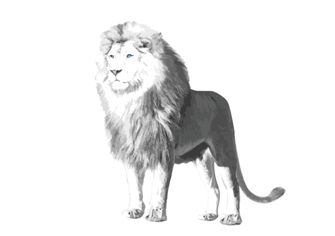 White Lion Beast King Real White Lion Beast King Real