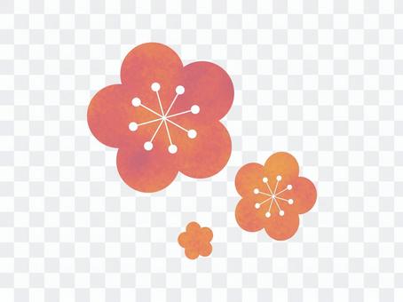 Yume cute plum blossoms Yume cute plum blossoms
