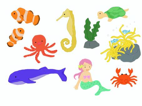 Sea creatures Sea creatures