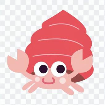 Hermit crab Hermit crab