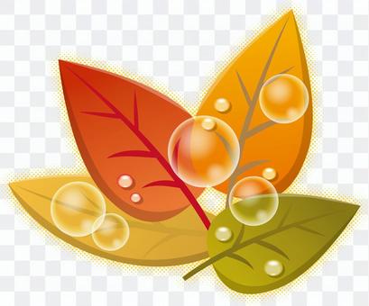 One point of leaves One point of leaves