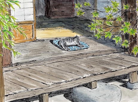 Cat taking a nap on the porch Cat taking a nap on the porch