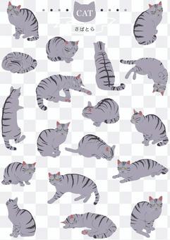 Cat (Real · Sabura) 18 pose Cat (Real · Sabura) 18 pose