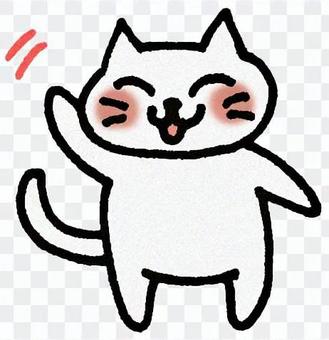 Hand shaking cat Hand shaking cat