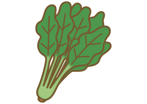 Illustration of cute spinach Illustration of cute spinach
