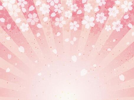 Celebration Sakura Japanese paper radiation background 02 Celebration Sakura Japanese paper radiation background 02