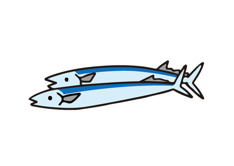 Pacific saury Pacific saury