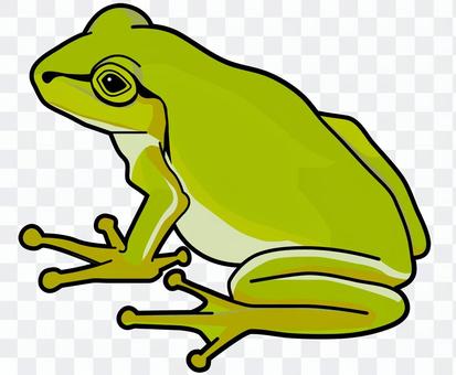Japanese frog Japanese frog