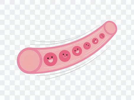 サラサラ血管のイラスト サラサラ血管のイラスト