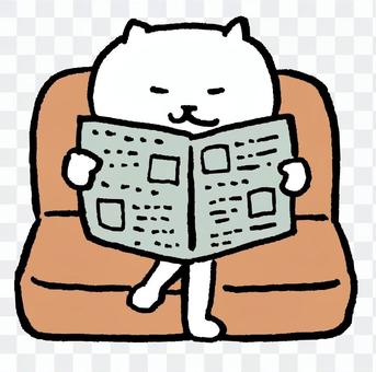 Read cat newspaper Read cat newspaper