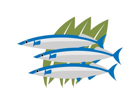pacific saury pacific saury