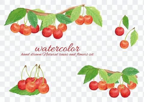 Watercolor cherry 2 Watercolor cherry 2