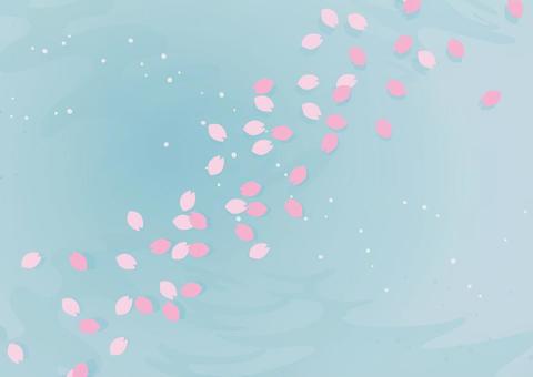 Cherry blossoms petals floating on the water surface 1 Cherry blossoms petals floating on the water surface 1