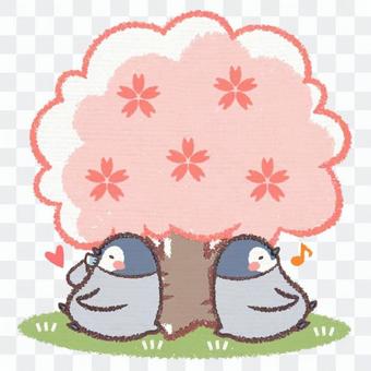 Ohanami penguin chick Ohanami penguin chick