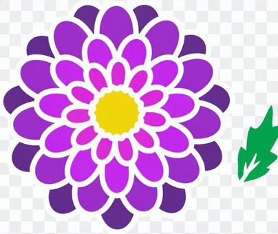 Peony _ purple Peony _ purple