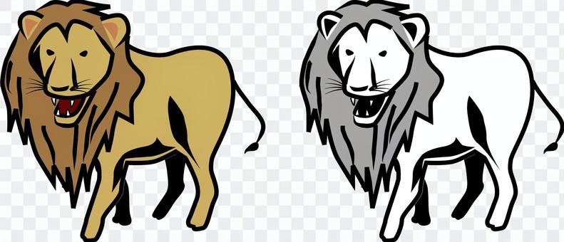 Lion beast carnivorous menacing barking Lion beast carnivorous menacing barking