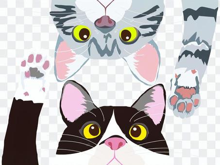 Cat Sabatra Hachiware Cat Sabatra Hachiware