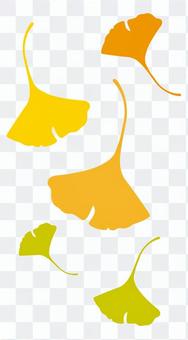 Ginkgo no leaves Ginkgo no leaves