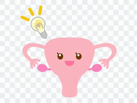 Uterus Ovary Fallopian tube Flash Uterus Ovary Fallopian tube Flash
