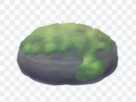 Moss growing stone Moss growing stone