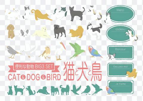 Popular animal decoration <Cat, dog, bird> Popular animal decoration <Cat, dog, bird>