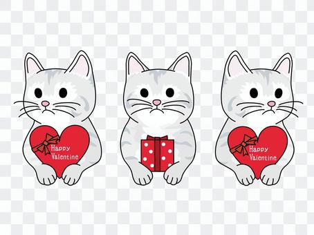 Valentine's chocolate and kitten 1 Valentine's chocolate and kitten 1