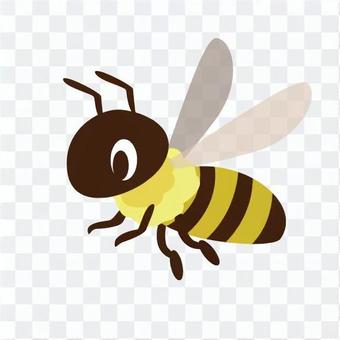 Honey bee Honey bee