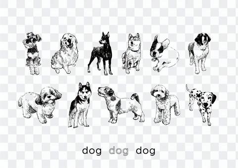 Dog illustration Dog illustration