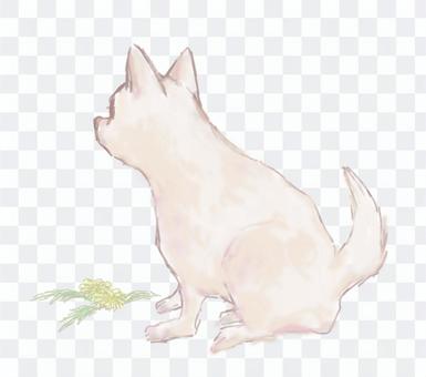 Dog and dandelion Dog and dandelion