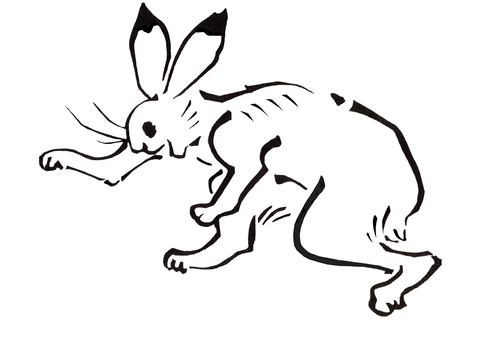 Bird and beast caricature rabbit Bird and beast caricature rabbit