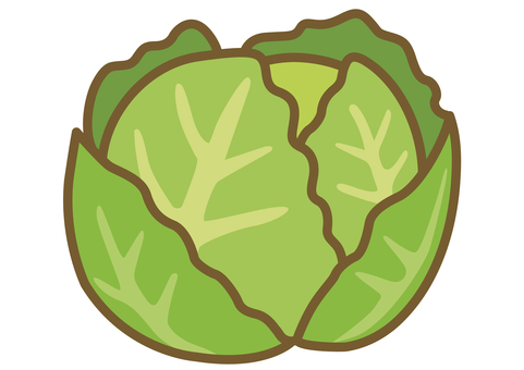 Illustration of cute cabbage Illustration of cute cabbage