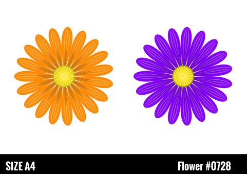 Vivid ornamental flowers Vivid ornamental flowers