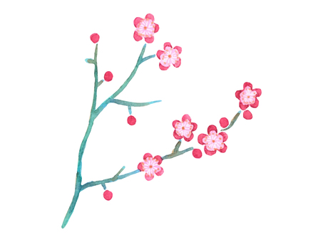 Plum blossom _3 Plum blossom _3