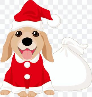 Santa can Retriever Santa can Retriever