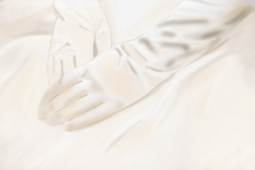 Bride gloves wedding image Bride gloves wedding image